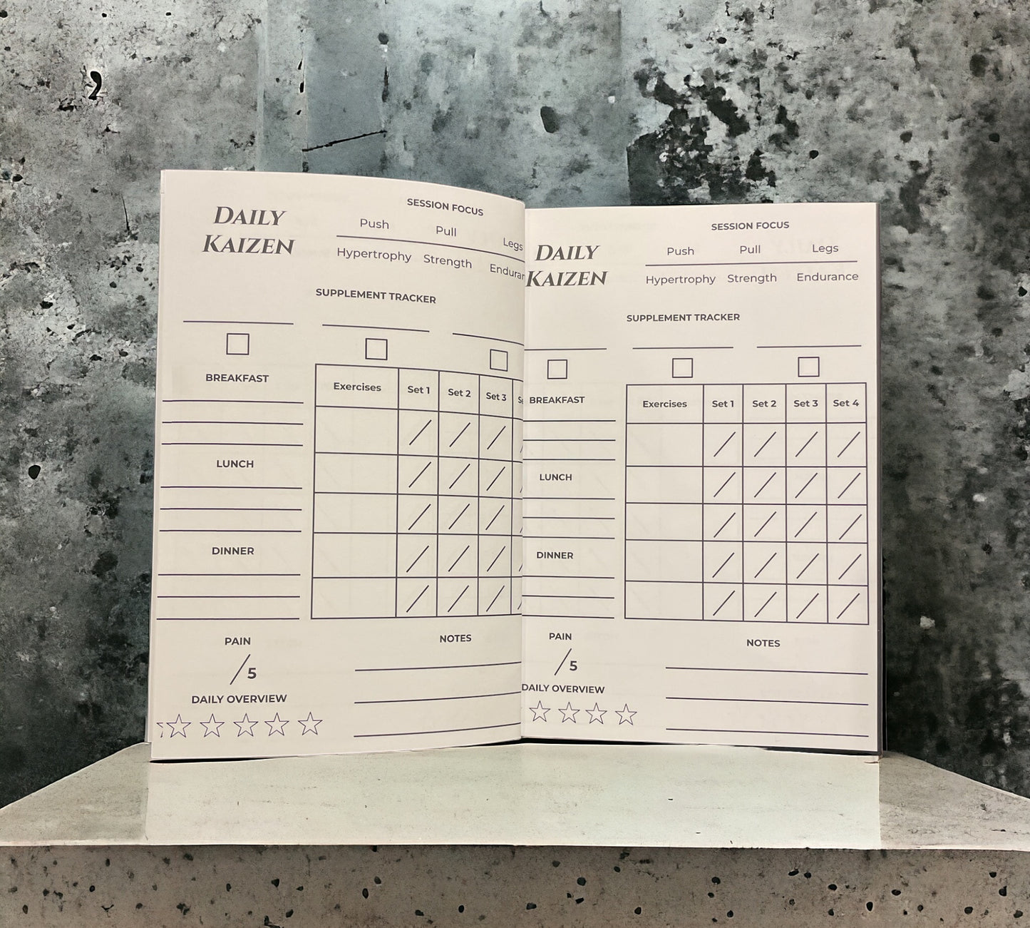 Gym Journal - The Kaizen Edition