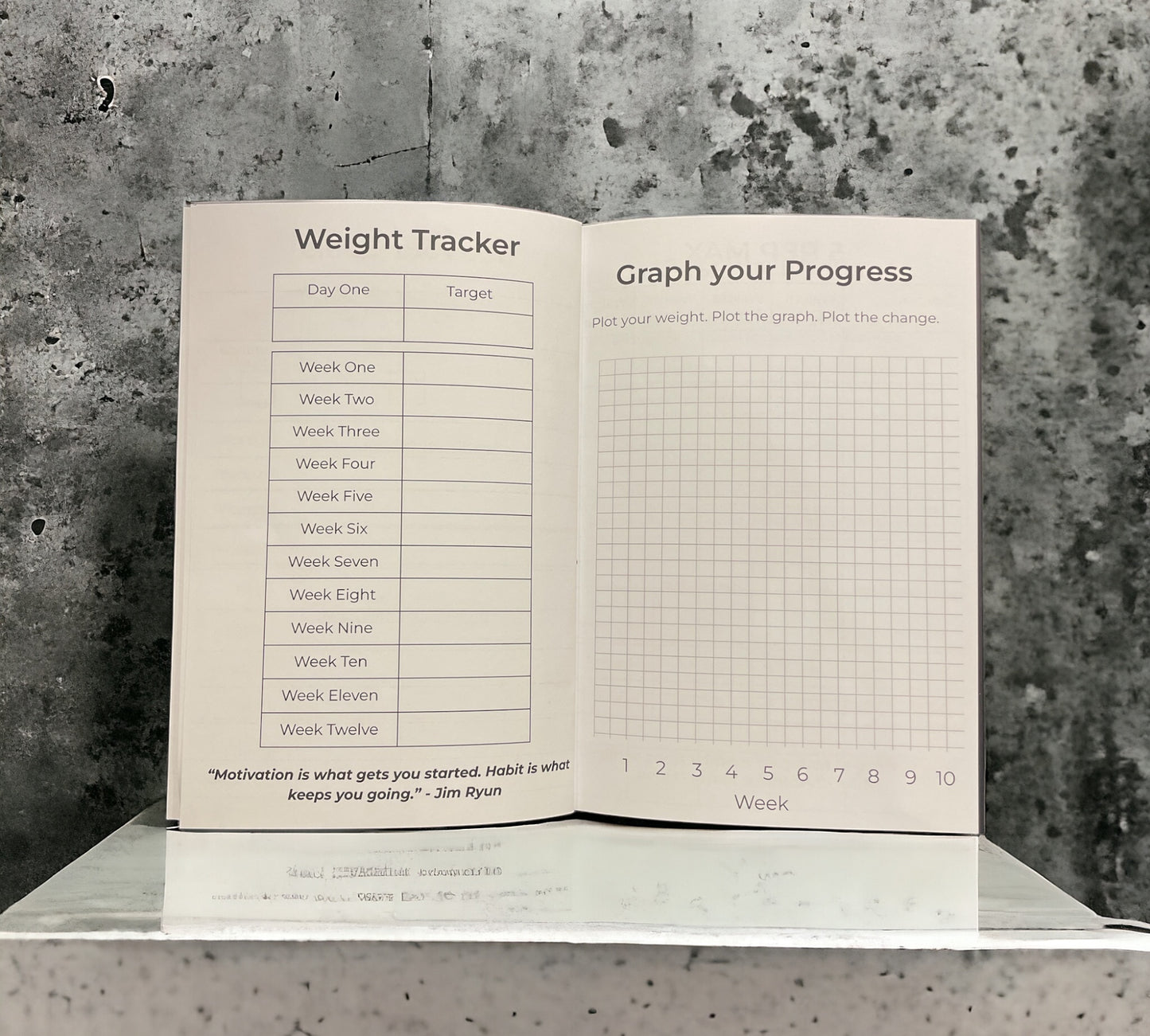 Gym Journal - The Kaizen Edition